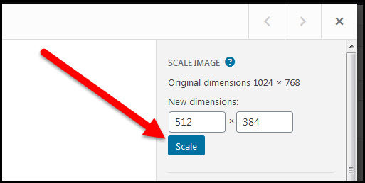 Scale button in Media Library