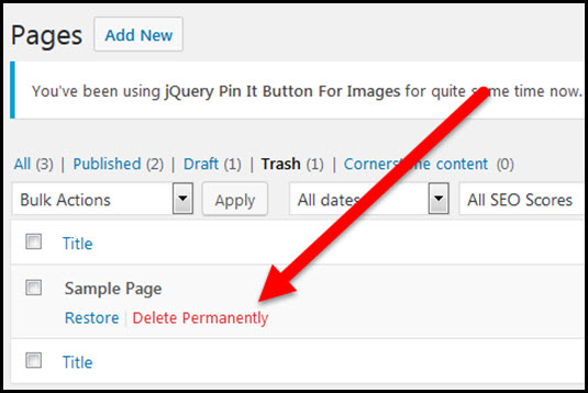 delete permanently link for wordpress page