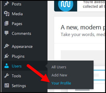 your profile settings in wordpress